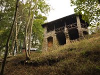 2013098902 Falcon Exhibition - Han Belgium - Sept 28
