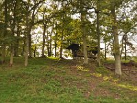 2013098939 Falcon Exhibition - Han Belgium - Sept 28