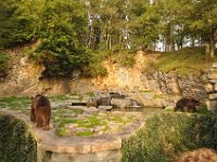 2013099023 Falcon Exhibition - Han Belgium - Sept 28