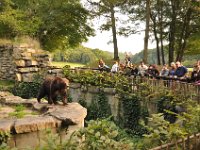 2013099034 Falcon Exhibition - Han Belgium - Sept 28