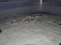 2013098279 Malmandy Belgium - Sept 25