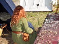 2013099111 Falcon Exhibition - Han, Belgium - Sept 28