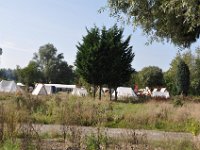 2013099138 Falcon Exhibition - Han, Belgium - Sept 28