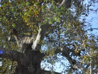 2013092694 Mostar Bosnia-Herzegovina - Sept 12