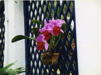 1998061072 Darrel and Betty Hagberg - Brazil