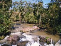 1998061099 Darrel and Betty Hagberg - Brazil