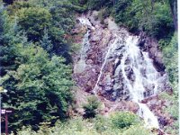 1988081131 Darrel & Betty Hagberg - Ohio-Michigan Vacation : Darrel Hagberg