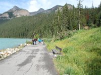 2010076834 Lake Louise - Banff Nat Park - Alberta - Canada  - Jul 29