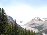 2010076868 Peyto Glacier from Bow Summit  - Banff Nat Park - Alberta - Canada  - Jul 29