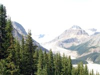 2010076869 Peyto Glacier from Bow Summit  - Banff Nat Park - Alberta - Canada  - Jul 29