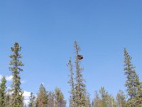 2010076930 Athabasca River Float Trip - Jasper Nat Park - Alberta - Canada  - Jul 29