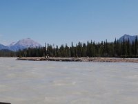 2010076938 Athabasca River Float Trip - Jasper Nat Park - Alberta - Canada  - Jul 29