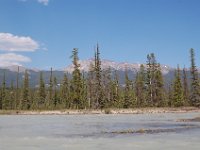 2010076950 Athabasca River Float Trip - Jasper Nat Park - Alberta - Canada  - Jul 29