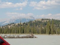 2010076961 Athabasca River Float Trip - Jasper Nat Park - Alberta - Canada  - Jul 29