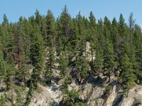 2010076608 Bow River Float Trip - Banff Nat Park - Alberta - Canada  - Jul 28