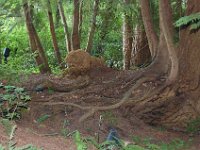 2010077580 Butchart Gardens - Victoria - British Columbia - Canada - Aug 04