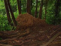 2010077581 Butchart Gardens - Victoria - British Columbia - Canada - Aug 04