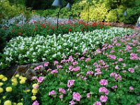 2010077586 Butchart Gardens - Victoria - British Columbia - Canada - Aug 04