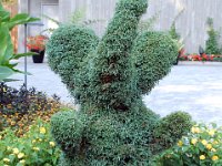 2010077608 Butchart Gardens - Victoria - British Columbia - Canada - Aug 04