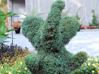 2010077609 Butchart Gardens - Victoria - British Columbia - Canada - Aug 04