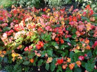 2010077611 Butchart Gardens - Victoria - British Columbia - Canada - Aug 04