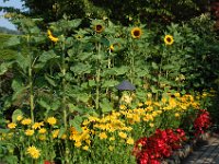 2010077618 Butchart Gardens - Victoria - British Columbia - Canada - Aug 04