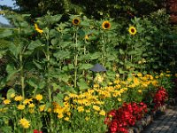 2010077619 Butchart Gardens - Victoria - British Columbia - Canada - Aug 04