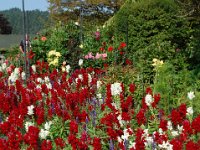 2010077623 Butchart Gardens - Victoria - British Columbia - Canada - Aug 04