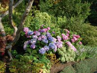 2010077624 Butchart Gardens - Victoria - British Columbia - Canada - Aug 04