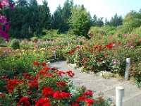 2010077635 Butchart Gardens - Victoria - British Columbia - Canada - Aug 04