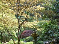 2010077645 Butchart Gardens - Victoria - British Columbia - Canada - Aug 04