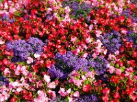 2010077660 Butchart Gardens - Victoria - British Columbia - Canada - Aug 04