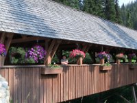 2010077165 Sun Peaks - British Columbia - Canada  - Jul 31 : Canada, Sun Peaks