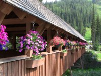 2010077166 Sun Peaks - British Columbia - Canada  - Jul 31 : Canada, Sun Peaks : Betty Hagberg