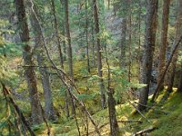 2010076974 Maligne Canyon -  Jasper Nat Park - Alberta - Canada  - Jul 30