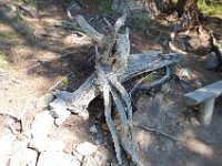 2010077037 Maligne Lake - Jasper Nat Park - Alberta - Canada  - Jul 30 : Maligne Lake, Jasper National Park