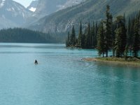 2010077052 Maligne Lake - Jasper Nat Park - Alberta - Canada  - Jul 30 : Jasper
