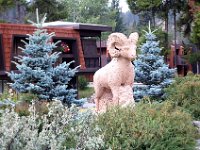 2010077086 Jasper - Jasper Nat Park - Alberta - Canada  - Jul 30