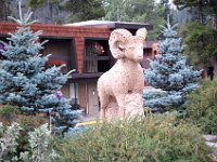 2010077087 Jasper - Jasper Nat Park - Alberta - Canada  - Jul 30