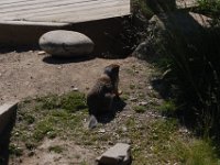 2010076353 Rogers Pass - British Columbia - Canada - Western Canada Vacation - Jul 27