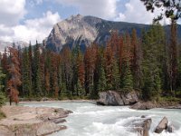 2010076399 Natural Bridge & Kicking Horse River - British Columbia - Canada  - Jul 27