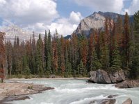 2010076402 Natural Bridge & Kicking Horse River - British Columbia - Canada  - Jul 27