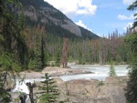 2010076418 Kicking Horse River - British Columbia - Canada  - Jul 27