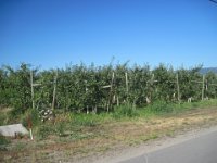 2010076298 Kelowna - British Columbia - Canada - Western Canada Vacation - Jul 26