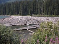 2010077213 Duffey Lake - British Columbia - Canada  - Aug 01