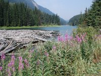 Sun Peaks - Whistle, Canada (August 1, 2010