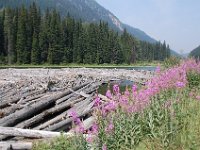 2010077227 Duffey Lake - British Columbia - Canada  - Aug 01