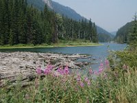 2010077230 Duffey Lake - British Columbia - Canada  - Aug 01