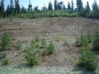 2010077232 Whistler - British Columbia - Canada  - Aug 01