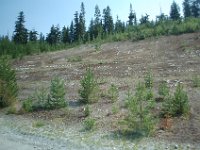 2010077233 Whistler - British Columbia - Canada  - Aug 01